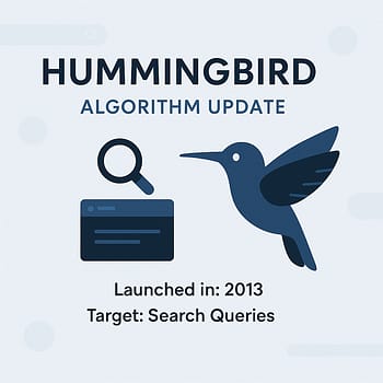Google Hummingbird Update